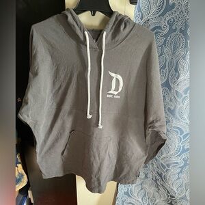 Disneyland (Disney Parks) Gray Spirit Jersey Hoodie Adults Sz. XL